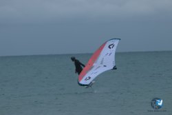 20231201-Franqui-gris-042.jpg