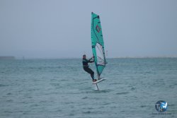 20231201-Franqui-gris-044.jpg