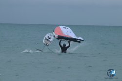 20231201-Franqui-gris-054.jpg