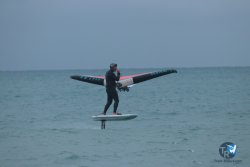 20231201-Franqui-gris-059.jpg