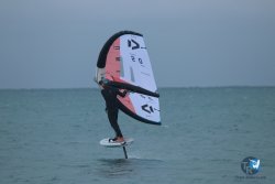 20231201-Franqui-gris-066.jpg