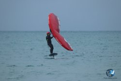 20231201-Franqui-gris-067.jpg