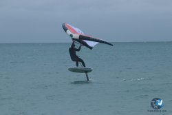 20231201-Franqui-gris-068.jpg