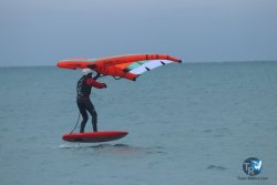 20231201-Franqui-gris-072.jpg