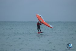 20231201-Franqui-gris-077.jpg