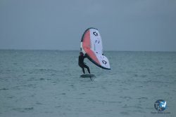 20231201-Franqui-gris-082.jpg