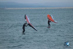 20231201-Franqui-gris-089.jpg