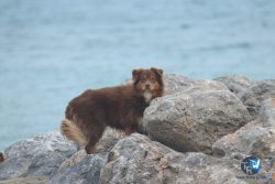 20231201-Franqui-gris-112.jpg