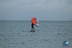 20231201-Franqui-gris-120.jpg
