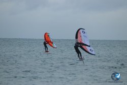 20231201-Franqui-gris-122.jpg