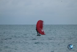 20231201-Franqui-gris-123.jpg