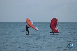 20231201-Franqui-gris-124.jpg