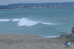 20231201-Franqui-gris-126.jpg