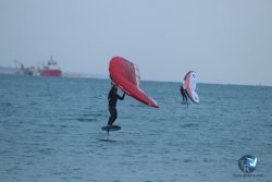 20231201-Franqui-gris-127.jpg
