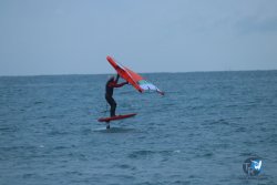 20231201-Franqui-gris-133.jpg