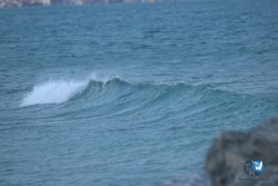 20231201-Franqui-gris-136.jpg