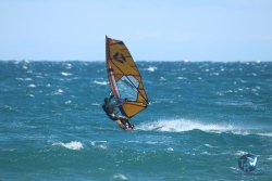 20231202-Cypriano-016.jpg