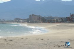 20231202-Cypriano-154.jpg