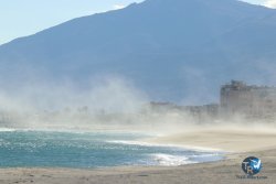 20231202-Cypriano-167.jpg