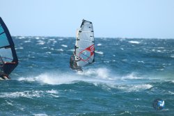 20231202-Cypriano-172.jpg