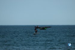 20240126-printemps-wing-franqui-002.jpg