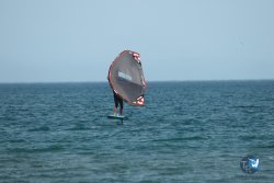 20240126-printemps-wing-franqui-009.jpg