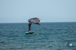 20240126-printemps-wing-franqui-010.jpg
