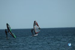 20240126-printemps-wing-franqui-019.jpg
