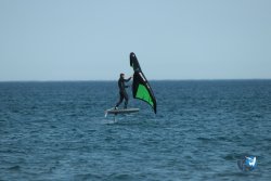 20240126-printemps-wing-franqui-020.jpg