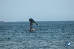 20240126-printemps-wing-franqui-021.jpg