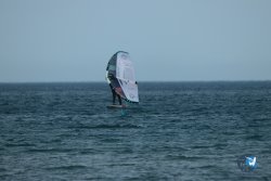 20240126-printemps-wing-franqui-023.jpg