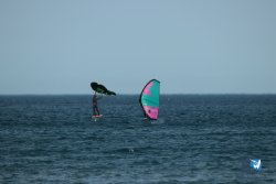 20240126-printemps-wing-franqui-024.jpg