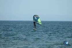 20240126-printemps-wing-franqui-043.jpg