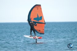 20240126-printemps-wing-franqui-051.jpg