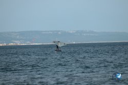 20240126-printemps-wing-franqui-052.jpg