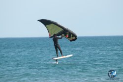 20240126-printemps-wing-franqui-059.jpg