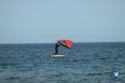 20240126-printemps-wing-franqui-060.jpg