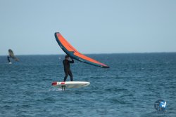 20240126-printemps-wing-franqui-061.jpg
