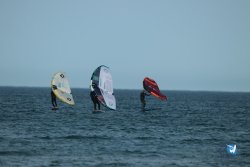 20240126-printemps-wing-franqui-064.jpg