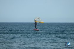 20240126-printemps-wing-franqui-066.jpg