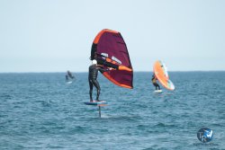 20240126-printemps-wing-franqui-070.jpg
