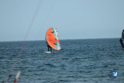 20240126-printemps-wing-franqui-071.jpg