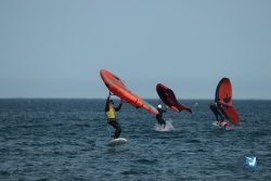 20240126-printemps-wing-franqui-072.jpg
