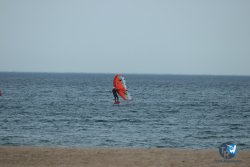 20240126-printemps-wing-franqui-076.jpg