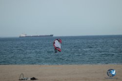 20240126-printemps-wing-franqui-078.jpg