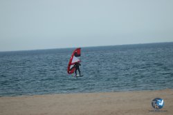 20240126-printemps-wing-franqui-079.jpg