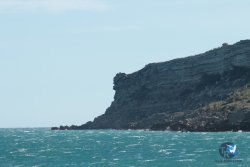 20240202-Franqui-fort-012.jpg