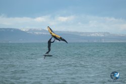20240216-wing-renverse-043.jpg
