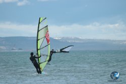 20240216-wing-renverse-048.jpg