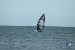 20240216-wing-renverse-069.jpg